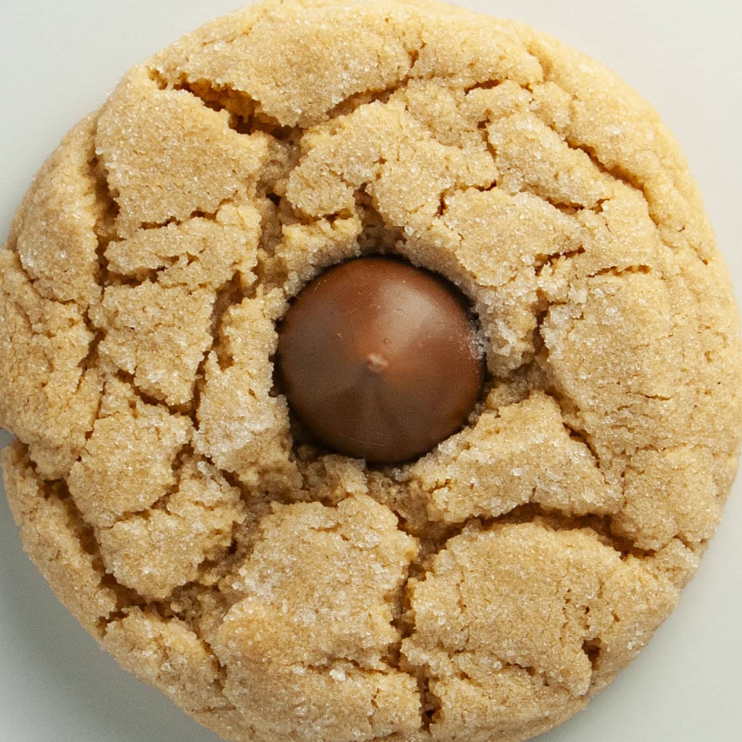 Easy Peanut Butter Blossom Recipe: Bake 4 Dozen Classic Cookies